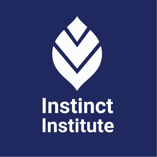 Instinct Institute - ICT Training Cambodia | AI, Digital Marketing, Web ...